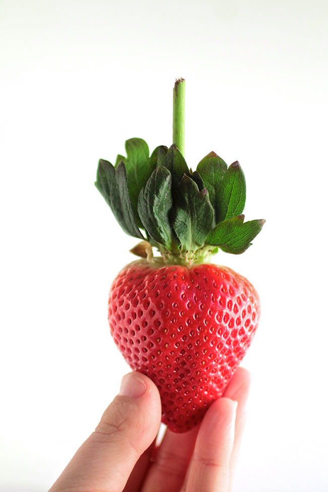 Woman's hand holding a fresh strawberry in front of a white wall.
