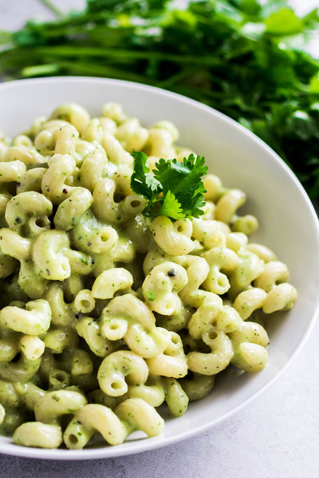 Avocado mac and cheese in a shallow white bowl, garnished with fresh cilantro.
