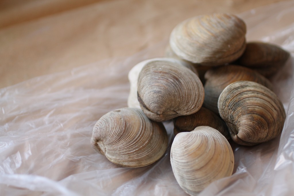 Fresh clams on a piece of butcher paper.