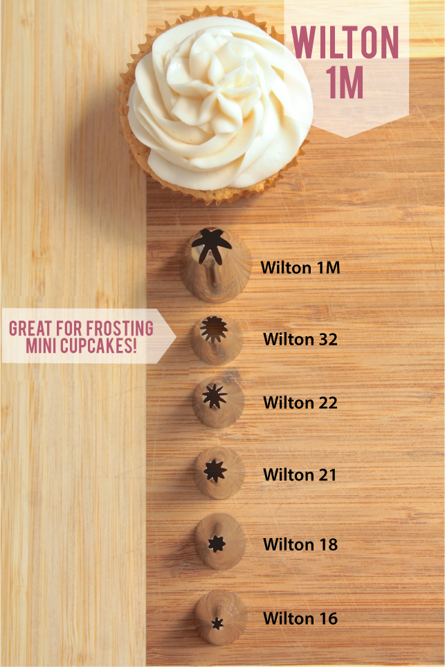 Vanilla cupcake on a wood surface next to a row of frosting tips of various sizes.