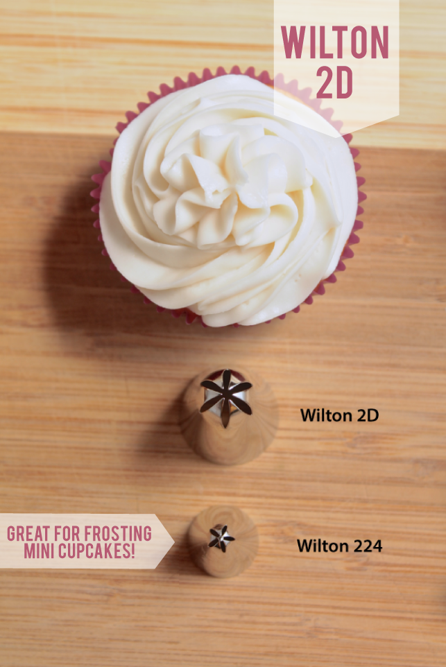 Vanilla cupcake next to a row of wilton frosting tips in various sizes.