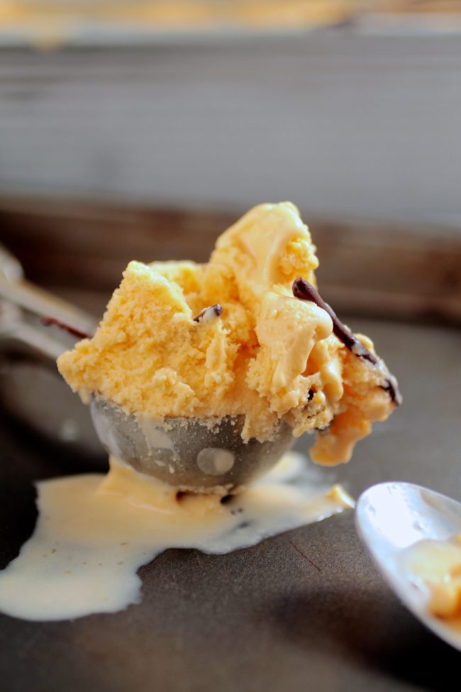 Close up of a silver scoop holding a scoop of butterscotch ice cream with a chocolate piece on top.