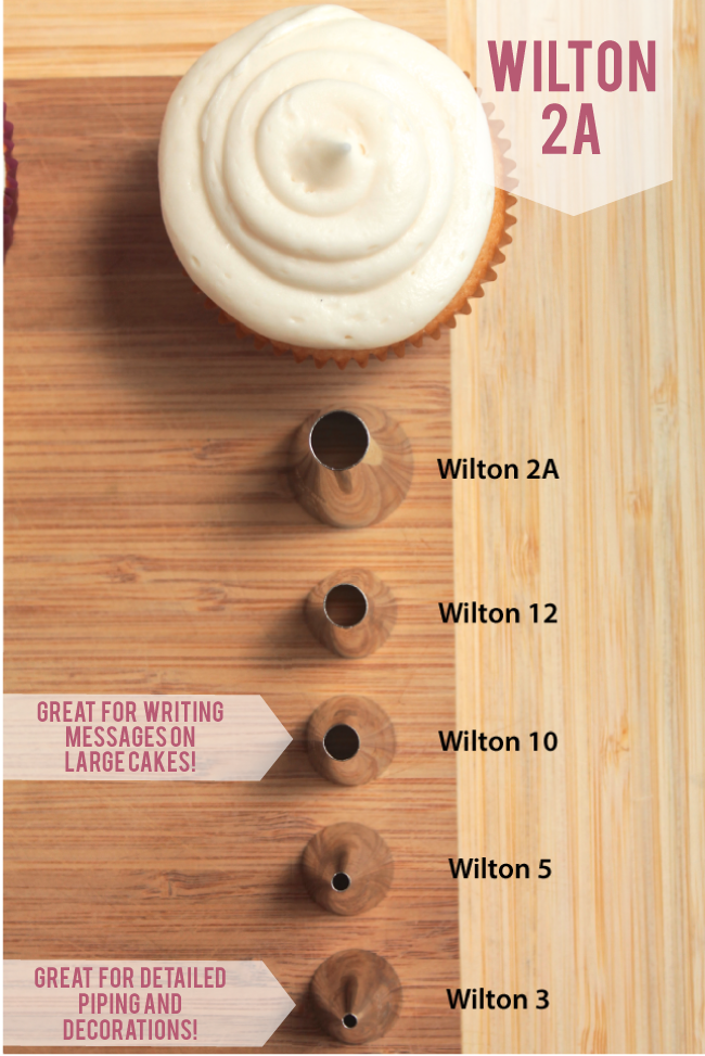 Vanilla cupcake next to a row of round wilton frosting tips in various sizes.