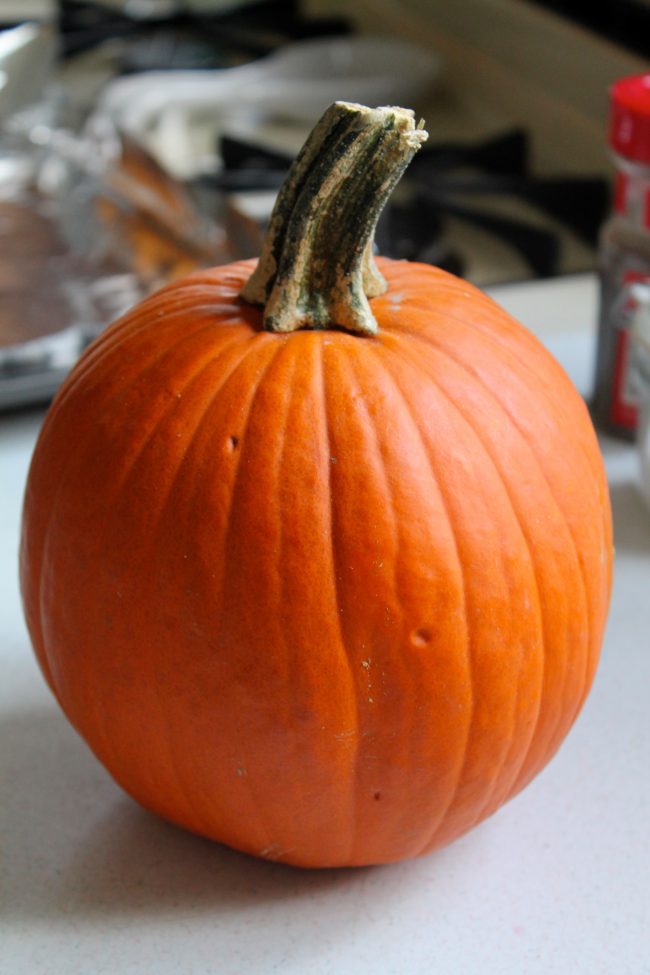 A small pie pumpkin.