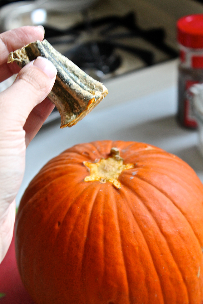 Hand removing the stem from a pie pumpkin.