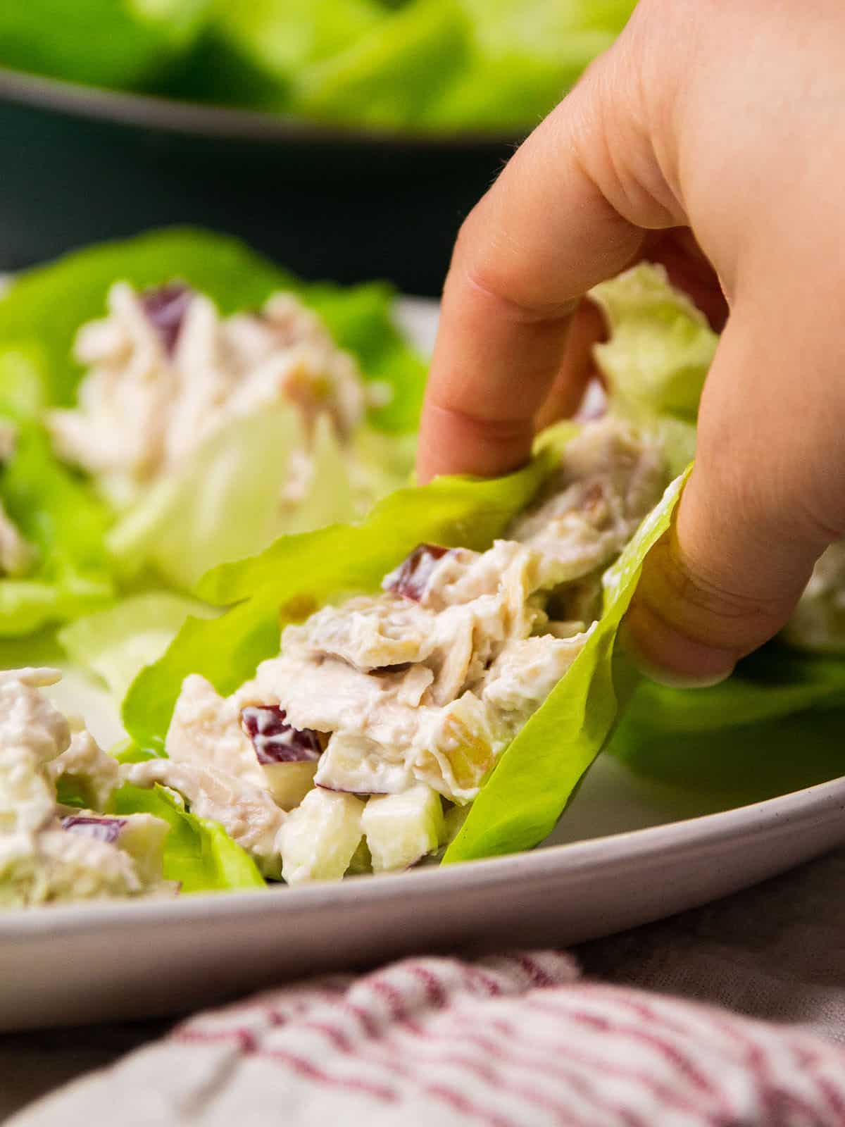 Hand lifting a lettuce wrap off a white plate.