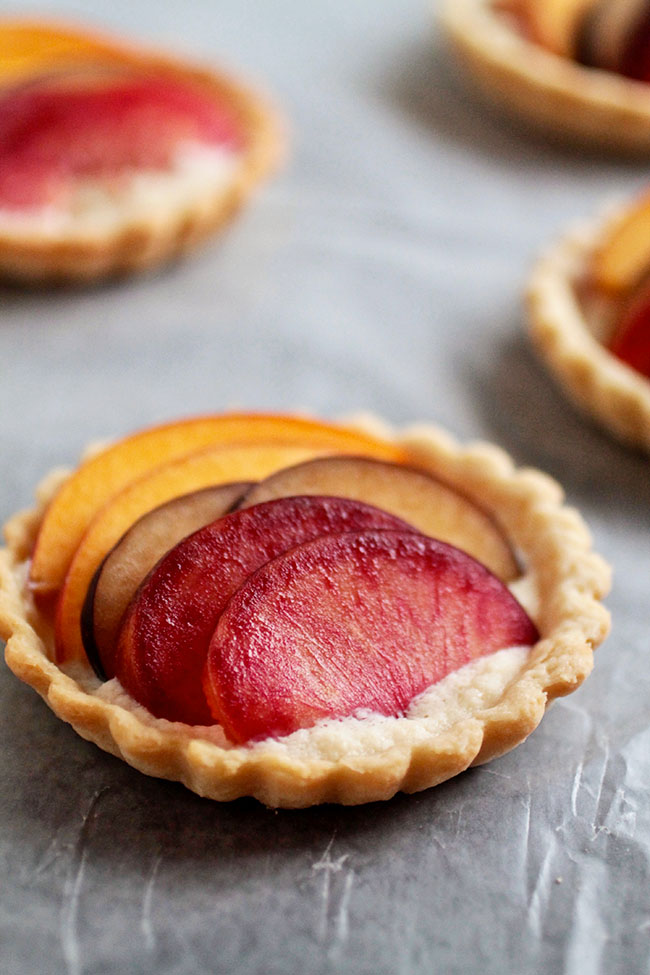 Close up of a small tart shell filled with sliced plums.
