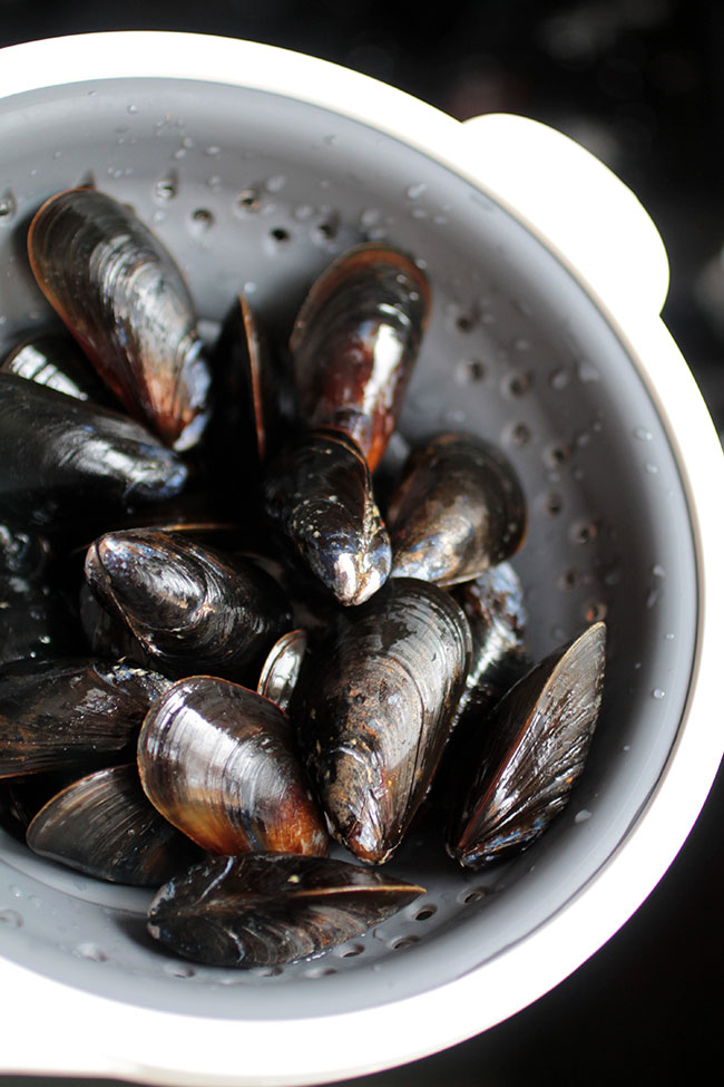 Fresh mussels in a grey colander.