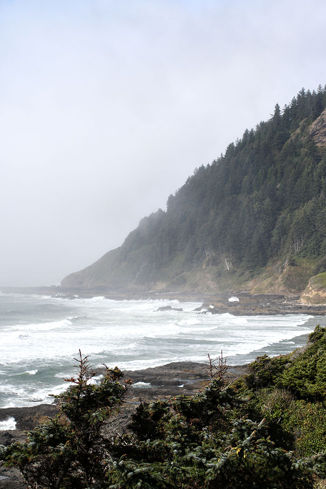 A cliff on the Oregon coast.