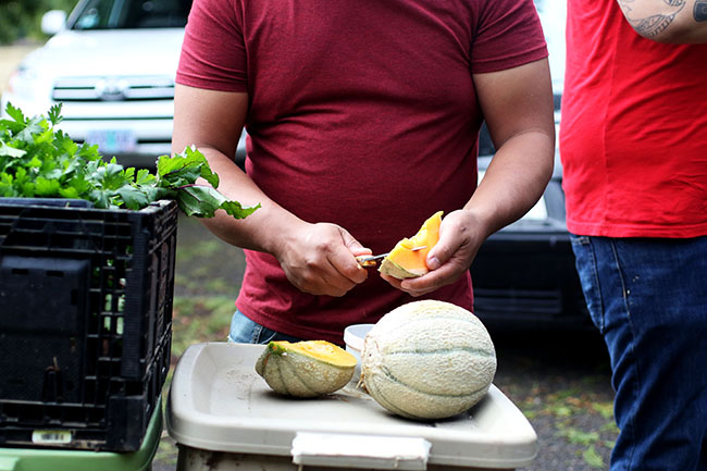 A man in a red shirt cuts a cantaloupe into slices.