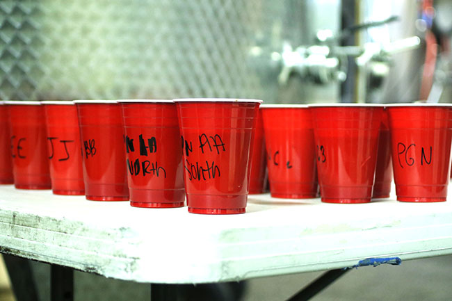 Red solo cups on a folding table, each labeled with a different section of the vineyard.