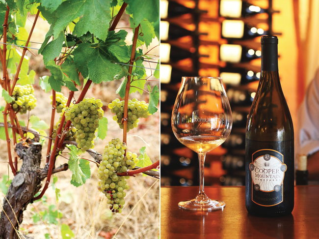 A glass of white wine at a vineyard.