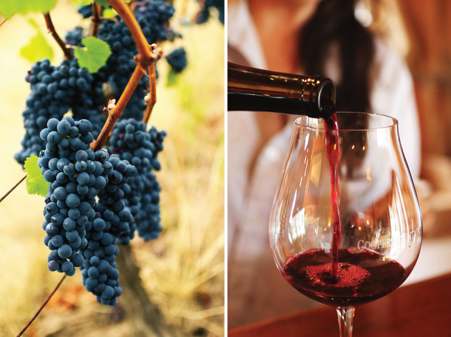 Pouring red wine into a large wine glass.