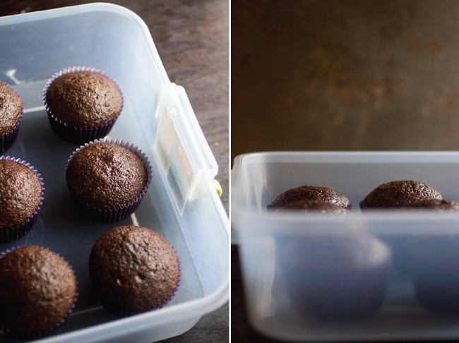 Unfrosted chocolate cupcakes in a shallow plastic storage dish.