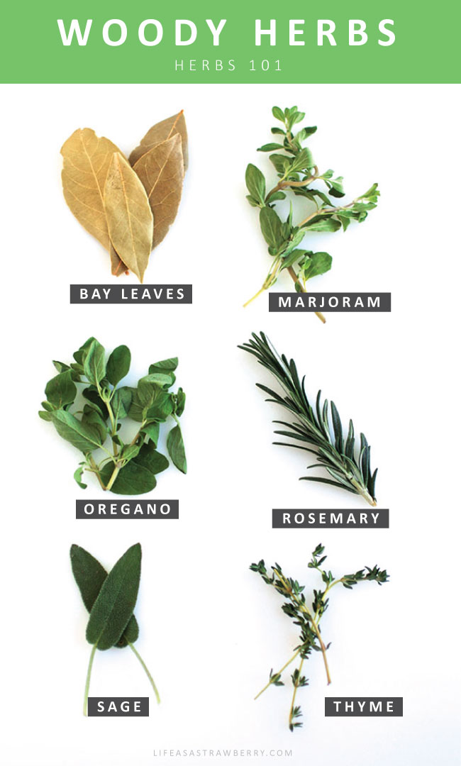 Sprigs of woody herbs on a white background: bay leaves, marjoram, oregano, rosemary, sage, and thyme.
