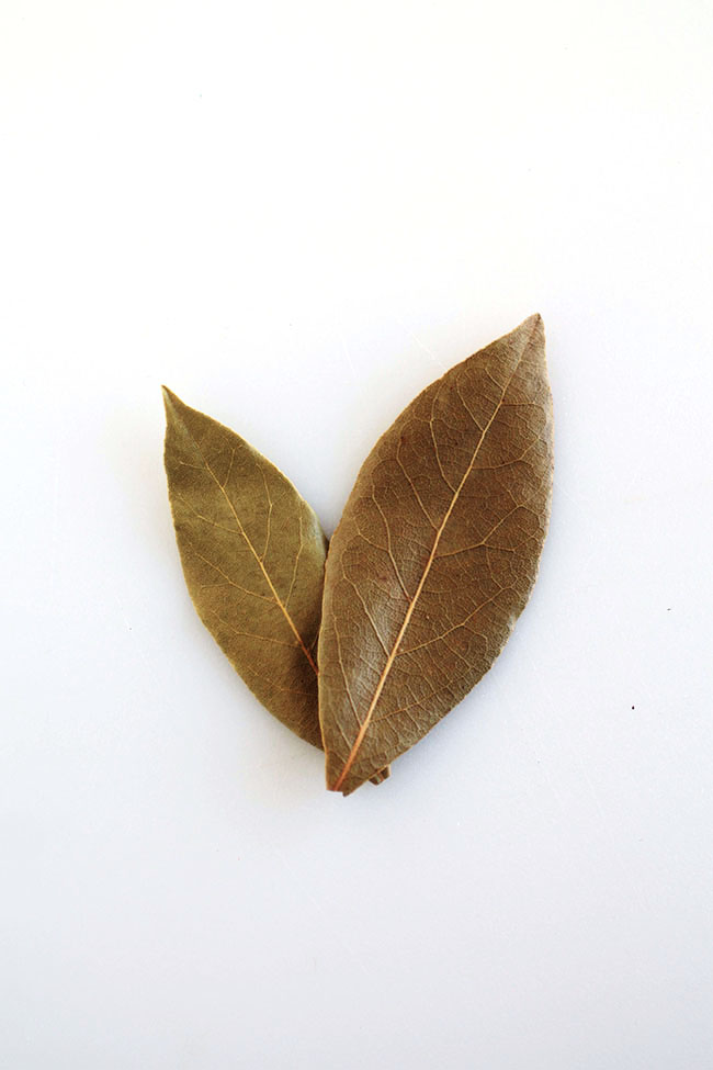 Two bay leaves on a white background.