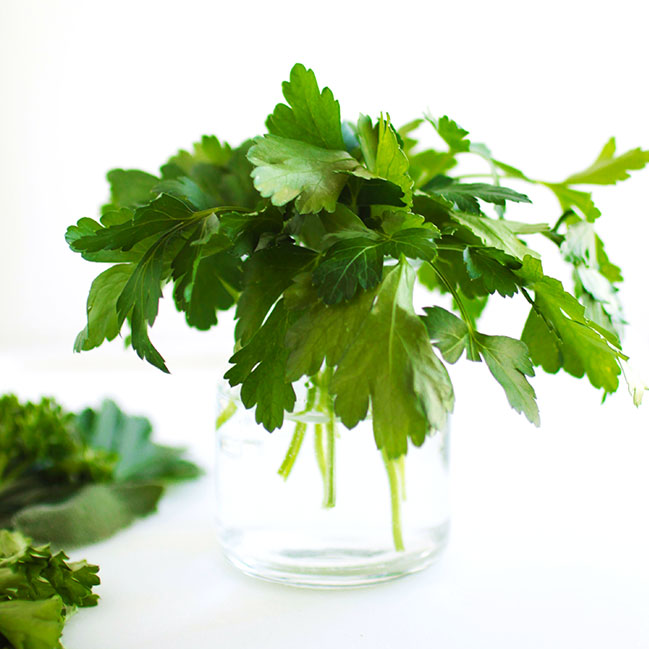 Fresh parsley in a glass jar filled with water.