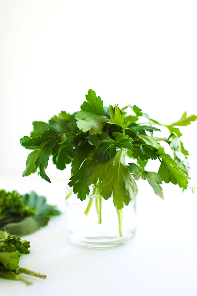 Glass vase filled with fresh parsley in front of a white background.