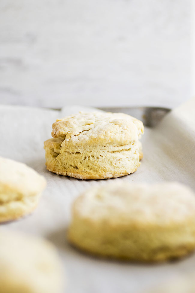 Vegan biscuits on a baking sheet lined with white parchment paper.