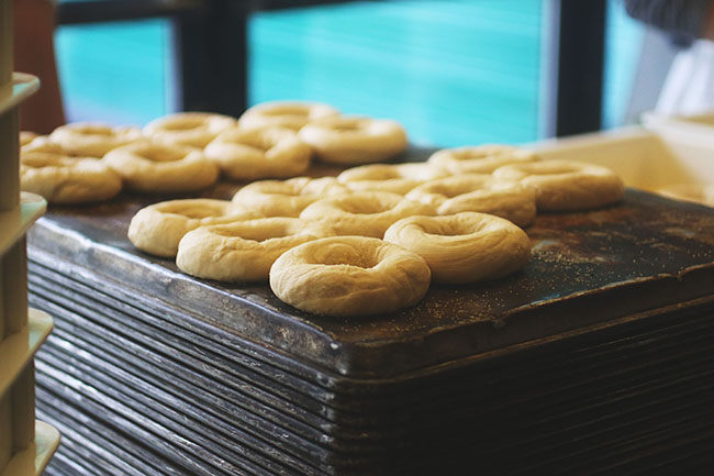 Newly formed bagels sitting on a stack of sheet pans.