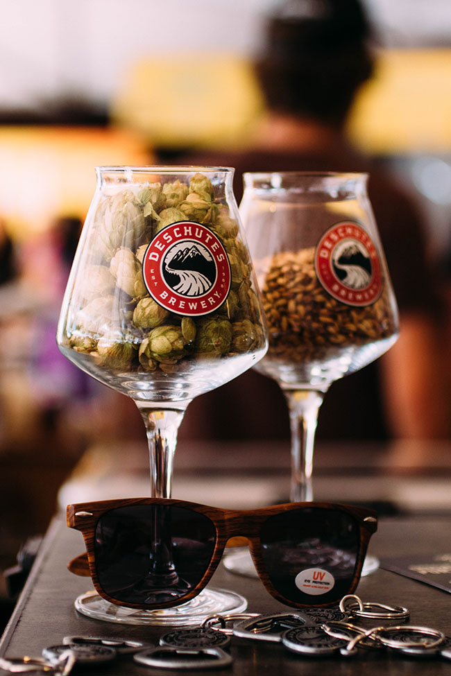 Two beer glasses, one filled with fresh hops and the other filled with barley.