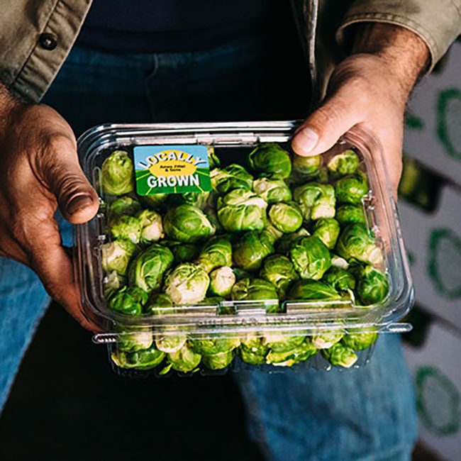 Farmer's hands holding a bin of brussels sprouts.