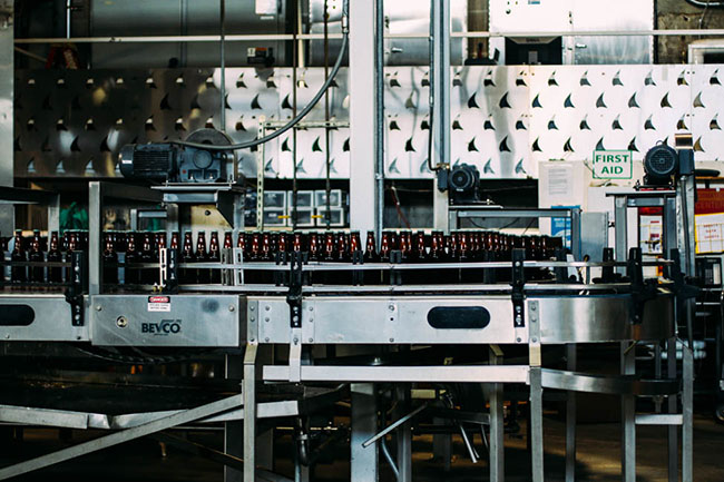 Brown beer bottles on the assembly line.