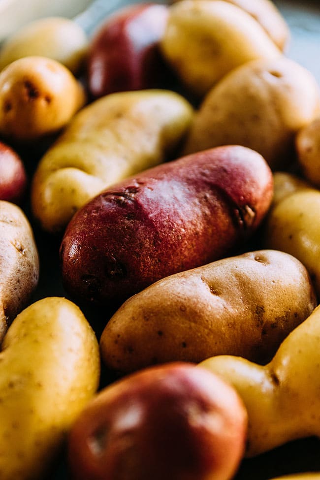 Fingerling potatoes in various colors.