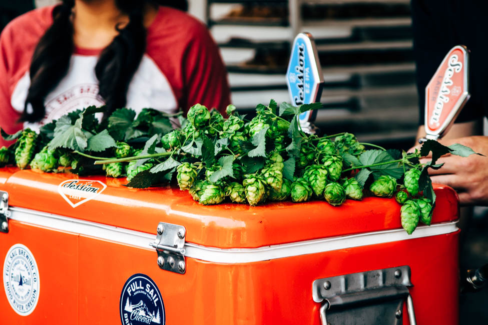 Red cooler topped with fresh hops.
