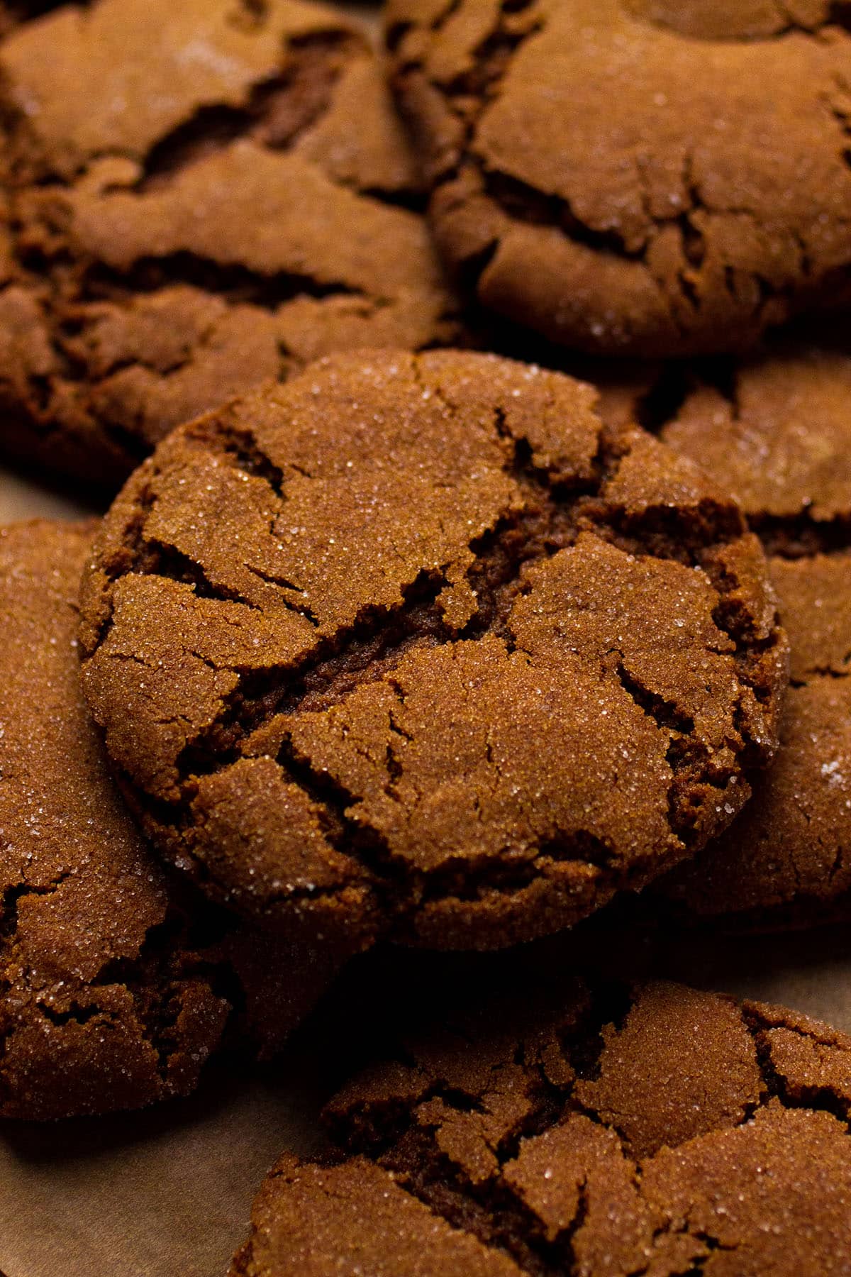 Several gingersnaps stacked on top of each other.