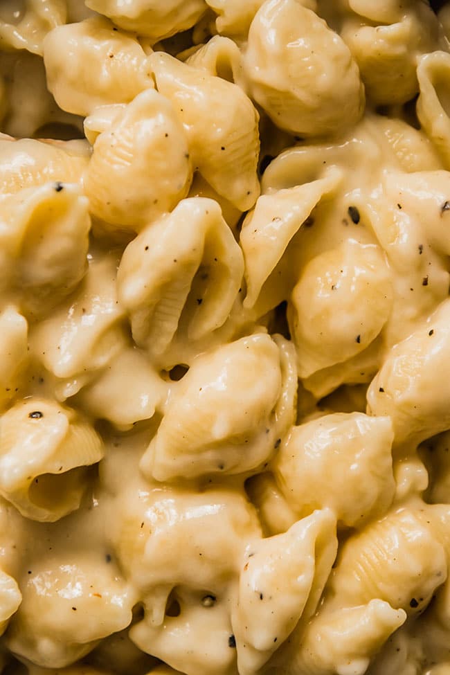Shell pasta in a creamy cauliflower cheese sauce.