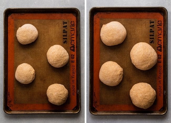 Bread bowls rising on a baking sheet.