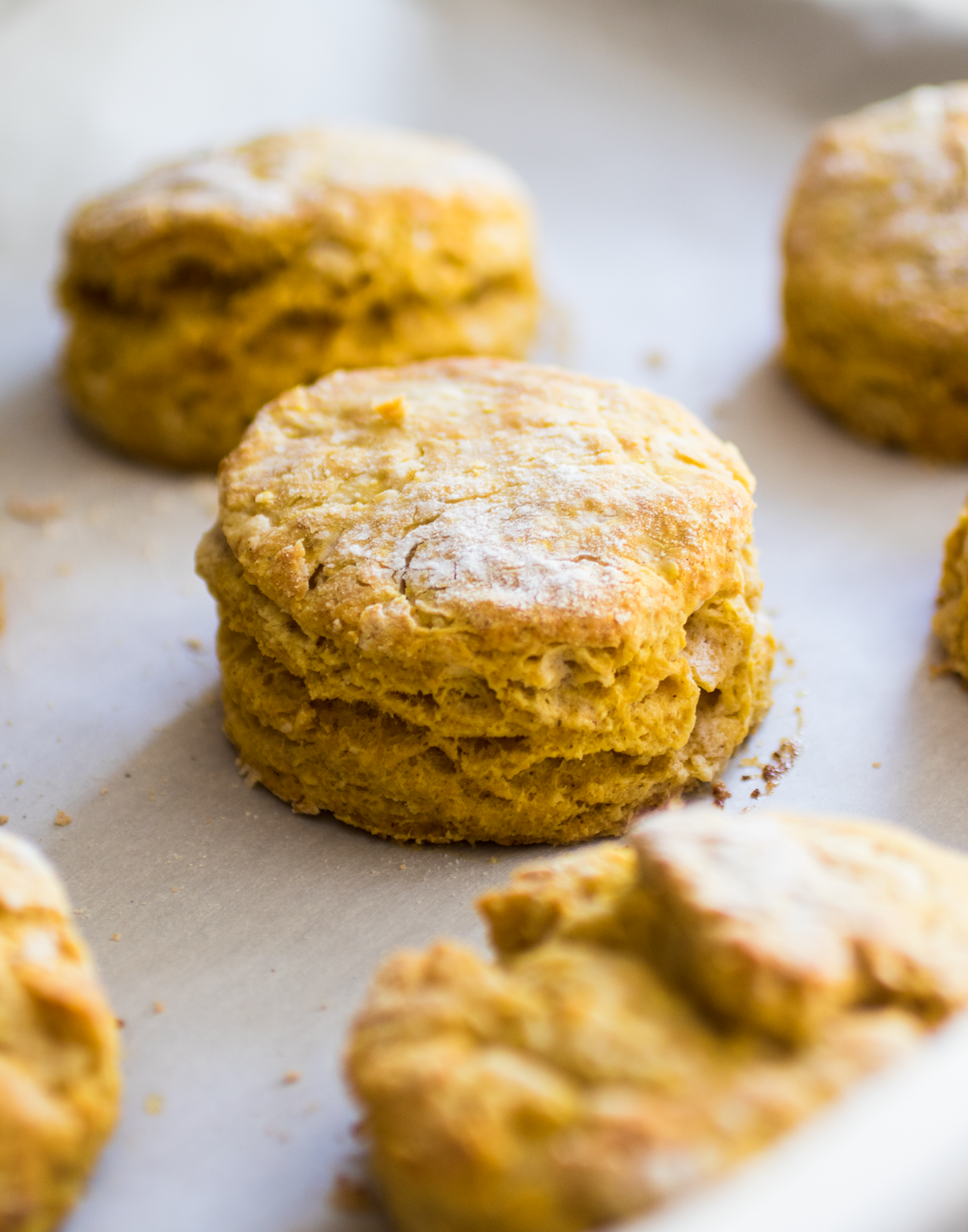 Fresh biscuits on a baking sheet lined with parchment paper.