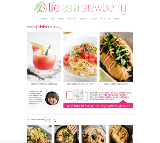 Screenshot of the Life As A Strawberry homepage in 2018