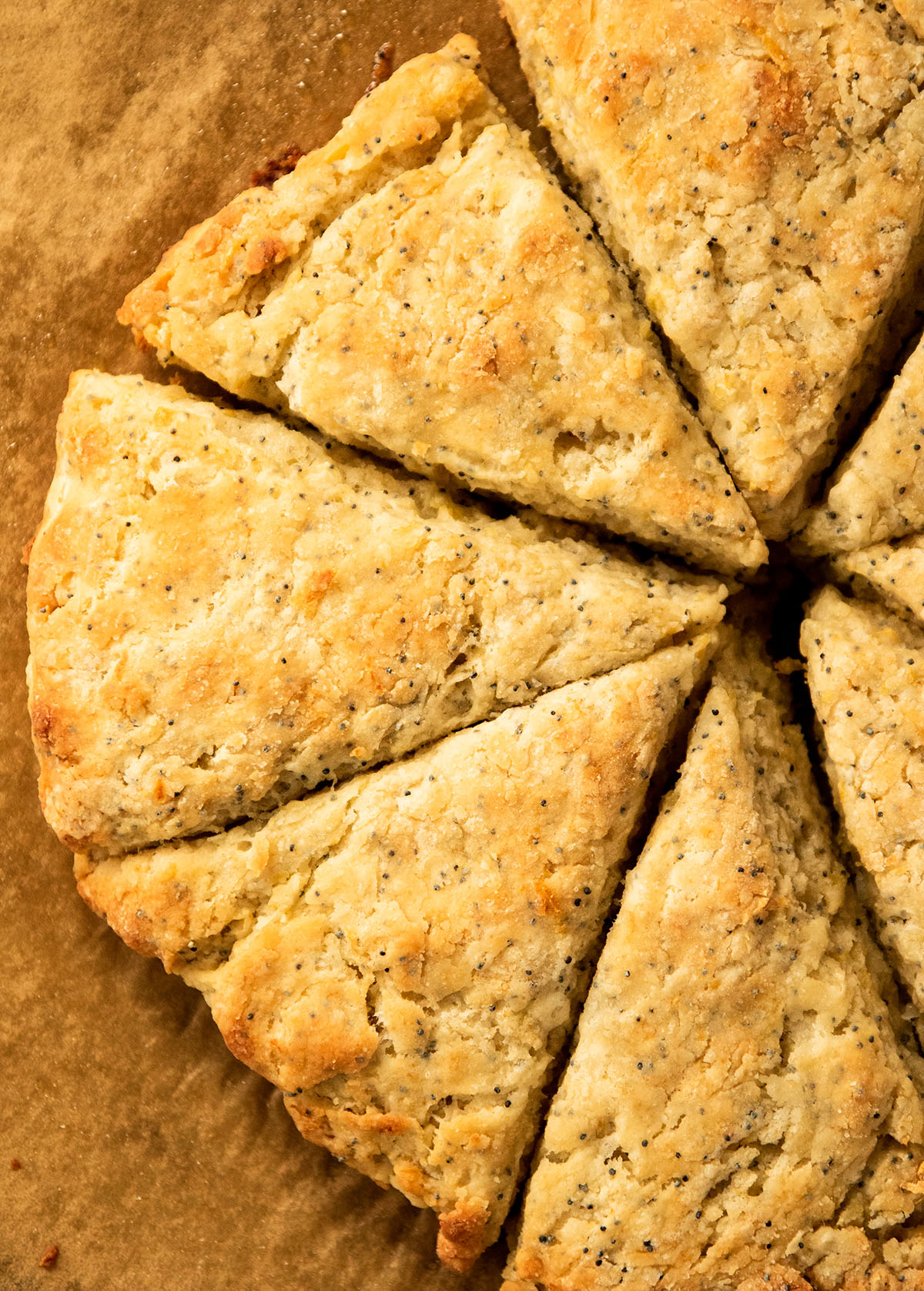 Overhead view of lemon scones on a piece of brown parchment paper.