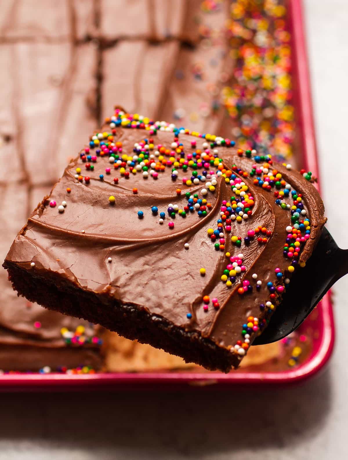Chocolate sheet cake with fudge frosting and sprinkles.
