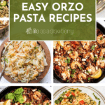 Easy Orzo Pasta Recipes.