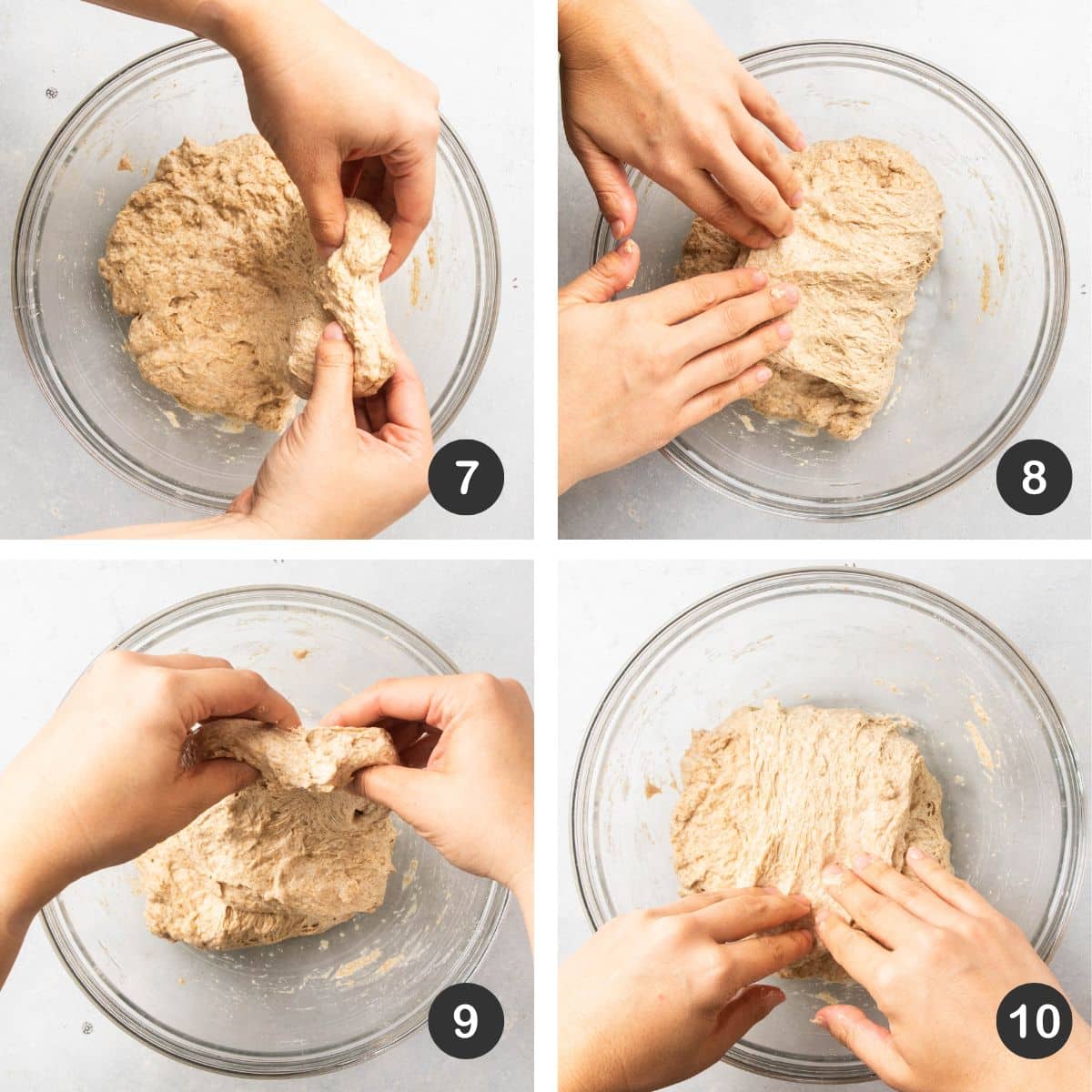 Folding whole wheat bread dough.
