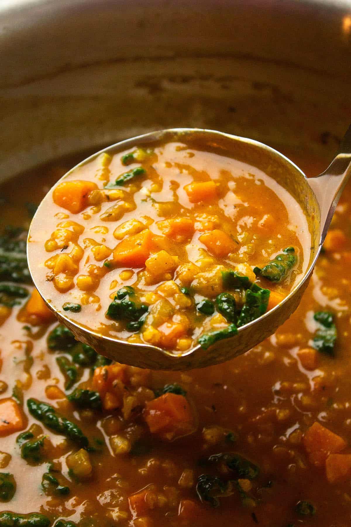 Ladle full of stew.