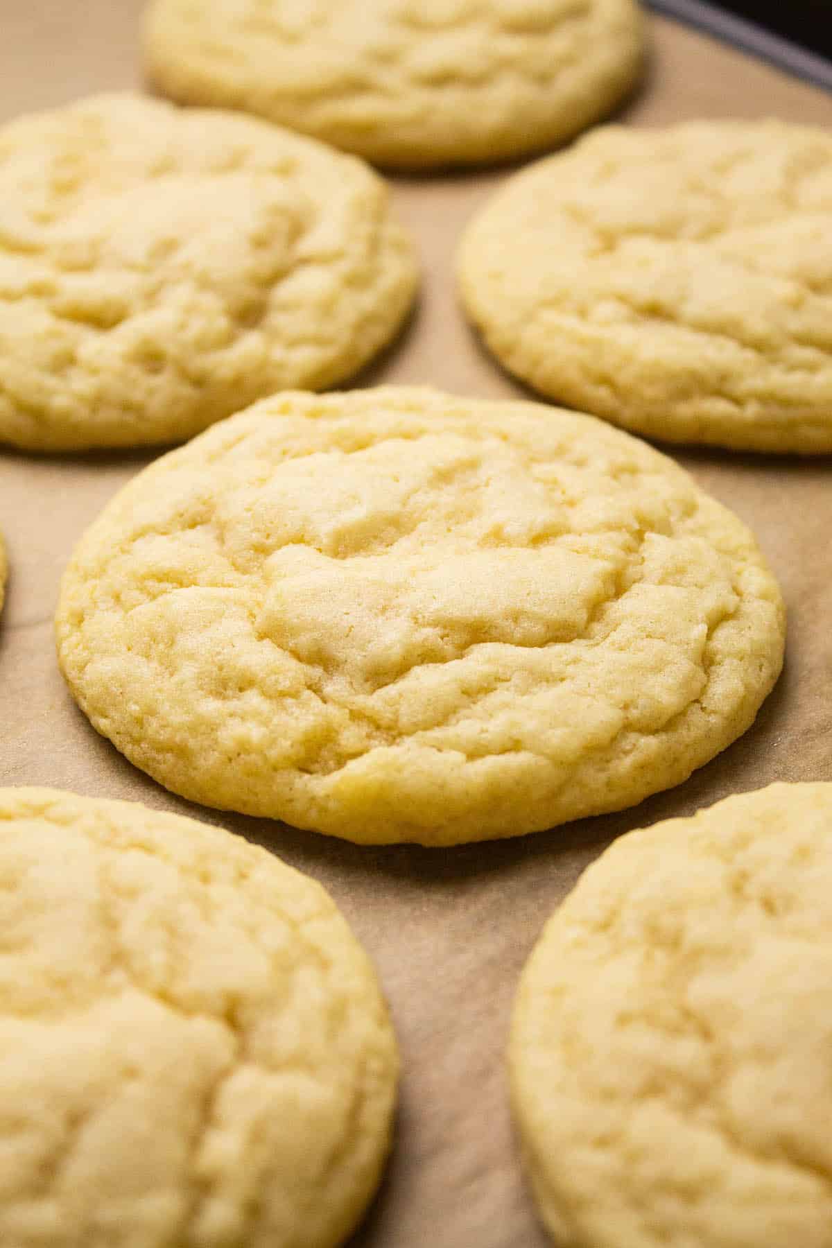 Sugar cookies on a baking sheet.