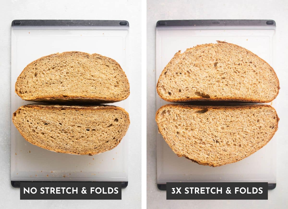 A loaf with no stretch and folds next to a taller loaf that included stretch and folds.